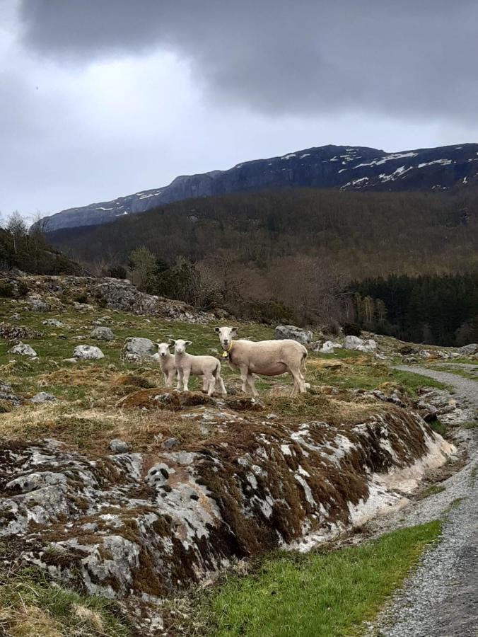 Fossane Gard * Hjelmeland