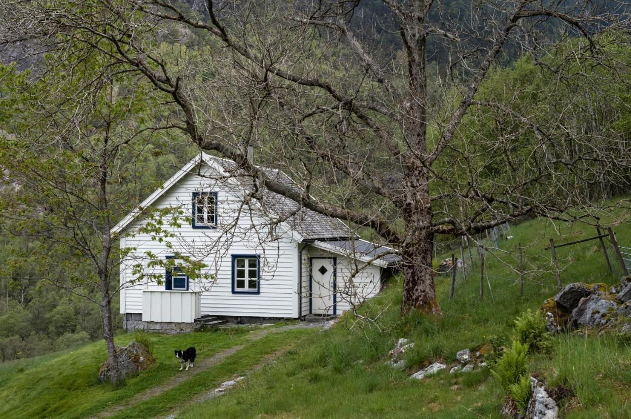 Hébergement de vacances Fossane Gard